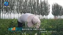 中国农资秀 (2026-09-05)