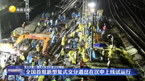 全国首组新型复式交分道岔在汉中上线试运行