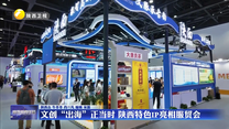 文创“出海”正当时 陕西特色IP亮相服贸会