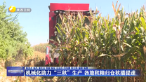 机械化助力“三秋”生产 各地秋粮归仓秋播提速