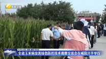 全省玉米病虫害绿色防控技术观摩交流会在咸阳兴平举行