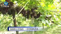 农村大市场 (2026-09-19)