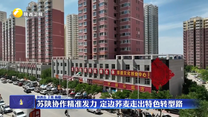 苏陕协作精准发力 定边荞麦走出特色转型路