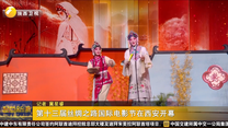 第十三届丝绸之路国际电影节在西安开幕