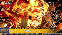 秦湘连——浐灞烟火 秦湘连心