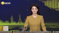 “种下一部电影”十强短片集中亮相第十三届丝绸之路国际电影节