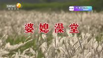 百家碎戏 (2026-09-25)