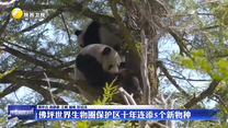 佛坪世界生物圈保护区十年连添5个新物种