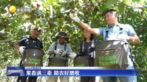 果香满三秦 助农好增收