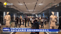 表彰先进树典型 凝聚民族团结奋进合力