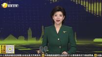六大方向精准发力 杨凌谋划“十五五”农业高新发展新蓝图