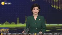 克罗地亚教师扎根西安十多年 一边教书一边向世界讲述陕西故事