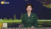 金融创新助力科技创新 陕西首笔“Token担”业务在西安落地