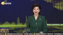 我在沙特建社区 陕建海外建设者全力攻坚确保工程质量与进度