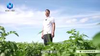 中国农资秀 (2026-10-03)