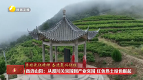 商洛山阳：从漫川关突围到产业突围 红色热土绿色崛起