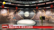 邂逅非遗之美 感受文化陕西