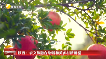 陕西：农文旅融合绘就和美乡村新画卷