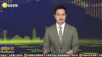 最快36小时 挪威三文鱼“游”上西安百姓餐桌