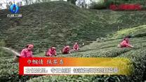 农村大市场（2026-10-09）