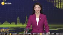 第十二届丝绸之路国际艺术节在西安开幕