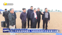 院士专家走进田间地头 为陕西特色现代农业发展出良策
