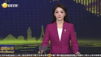 深化交流合作 感受发展活力 多哥部长会议主席福雷一行来陕访问