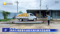陕西专项部署农业防灾减灾救灾资金使用