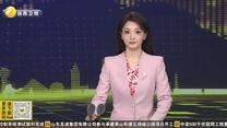 近距离的感受让我震撼—9国驻华外交官来陕体验中国传统文化