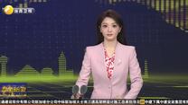 共拓合作新空间 马来西亚—中国西北商务洽谈会在西安举行