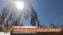 都市快报（2026-10-14）