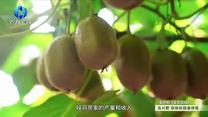 中国农资秀（2026-10-14）