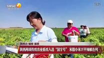 晚间新闻站（2026-10-14）