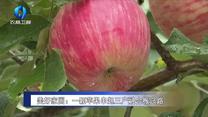 农村大市场（2026-10-14）