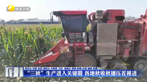“三秋”生产进入关键期 各地秋收秋播压茬推进
