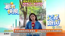 都市快报（2026-10-15）