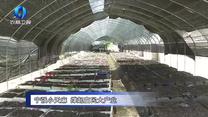 农村大市场（2026-10-15）
