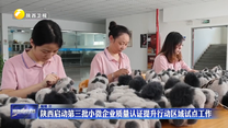 陕西启动第三批小微企业质量认证提升行动区域试点工作