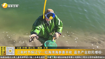 三秋时节探辽宁—红海湾海参喜丰收 蓝色产业助民增收
