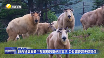 陕西征集秦岭卫星遥感数据使用需求 公益需要将无偿提供