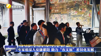 专家组深入安康紫阳 助力“农文旅”差异化发展