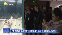 “走进澄城 看乡村振兴发展新象”行进式调研采风活动举行