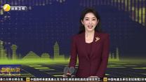 今年前三季度陕西外贸进出口总值7978.4亿元