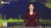 空中丝路再织密 西安将新增直飞湛江航线