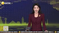 三秋时节探辽宁——红滩绘就生态画卷 候鸟牵起辽陕纽带
