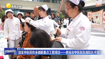 国家中医药传承创新重点工程项目——西安市中医医院南院区开诊