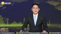 陕西205家企业亮相第140届广交会 新产品绿色产品创新高