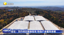 延安：签约项目落地见效 特色产业蓄势参展