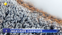 秦岭迎今秋初雪 半山彩林半山雪