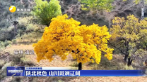 陕北秋色 山川斑斓辽阔